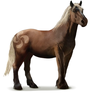 PottokPony (Wildpferd) HowrseWiki Fandom