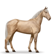 Palomino