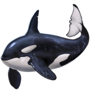 Orca