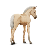 Palomino