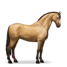 Lusitano