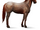 Quarter Horse.Strawberry Roan.Altes Design.png