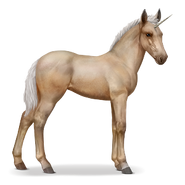 Palomino