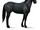 Quarter Horse.Rappe.Altes Design.png