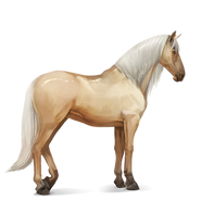 Palomino