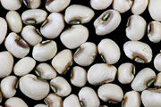 Black-eyed-pea