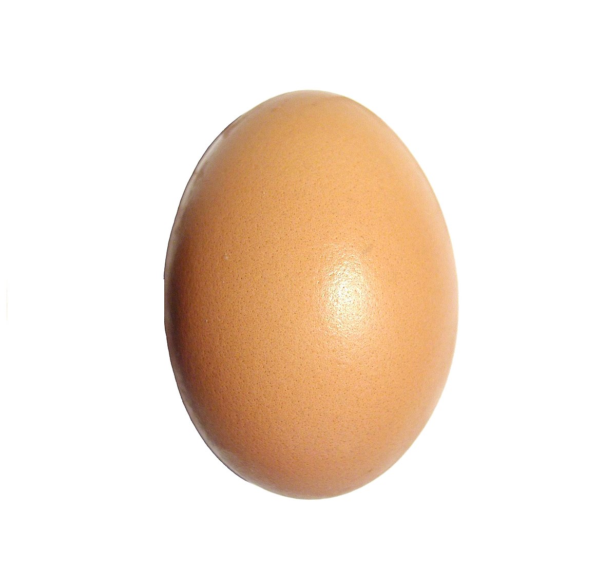 Eggs Howtobasic Wiki Fandom