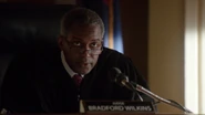 Role: Judge Bradford Wilkins Portrayer: Karl T. Wright