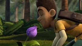 SP - Elbone sniffing the flower