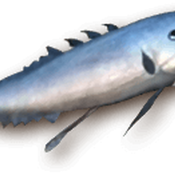 Fish Franchise How To Train Your Dragon Wiki Fandom Fish Franchise How To Train Your Dragon Wiki Fandom