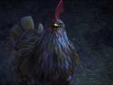 Chicken (character)