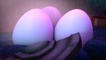 DW - Divewing eggs.jpg