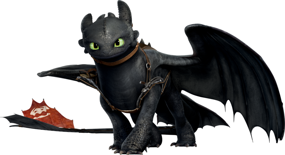 toothless dragon trainer