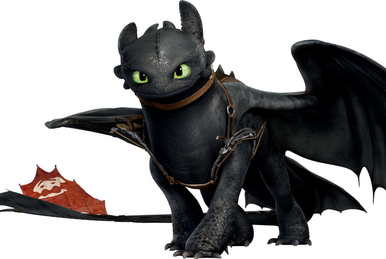How To Train A Dragon Night Fury Toothless Jumpsuit Facecloth