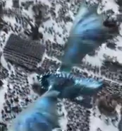 Unknown Dragon 5.jpg (30 KB)