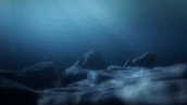 The Seashocker's Speed.gif