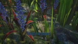 Click here to view more images from Hearts of Heroes.