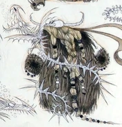 Unknown dragon3.jpg (225 KB)