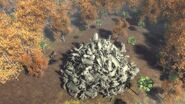 Overhead view of the pile of dragon bones