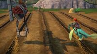 MM - Seeds being dumped onto the soil.jpg