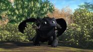 Toothless realizing he yanked off Hiccup's leg