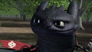 Toothless(3)
