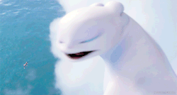 Light Fury Gif Httyd the hidden world toothless' mating dance. airtriasker