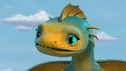 DW - Maybe humans aren't so bad after all.jpg (116 KB) Teal, yellow and orange