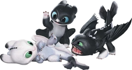 THW-Night Lights-Transparent