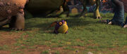 Hobgobbler.jpg