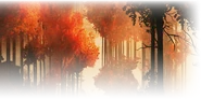 TU⁄BG⁄Region⁄Wild.png (248 KB)