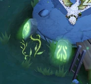 Ivy plants around Wise Wind's perch