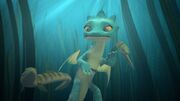 Multiple eels around Summer.jpg