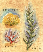 Coral and seaweed concept art from School of Dragons