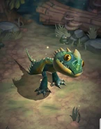 As a hatchling