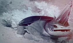 Click here to view more images from Plowhorn.