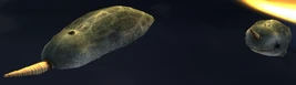 Narwhal 1