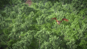 Titan MN Fire.gif