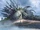 Mysterious Marshlands