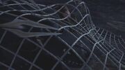 Trapped In A Dagur Net.jpg