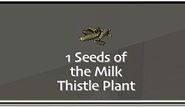 SOD-GoingBerserker-MilkThistle5