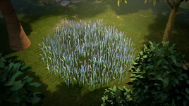 AYA-282-Gipple Grass