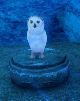 SOD-Snow Owl