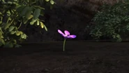 Bitterweed 3.png (1.46 MB)