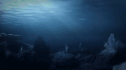 The sense the electric field produced by Seashocker.gif