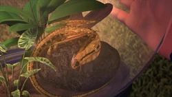 Click here to view more images from Glowmer.