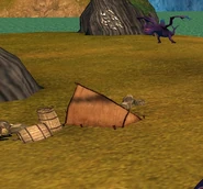 Camp of Skulder the Archaeologist