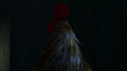 Twintuition Chicken 2.png