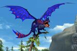 New dragon rtte 6.jpg