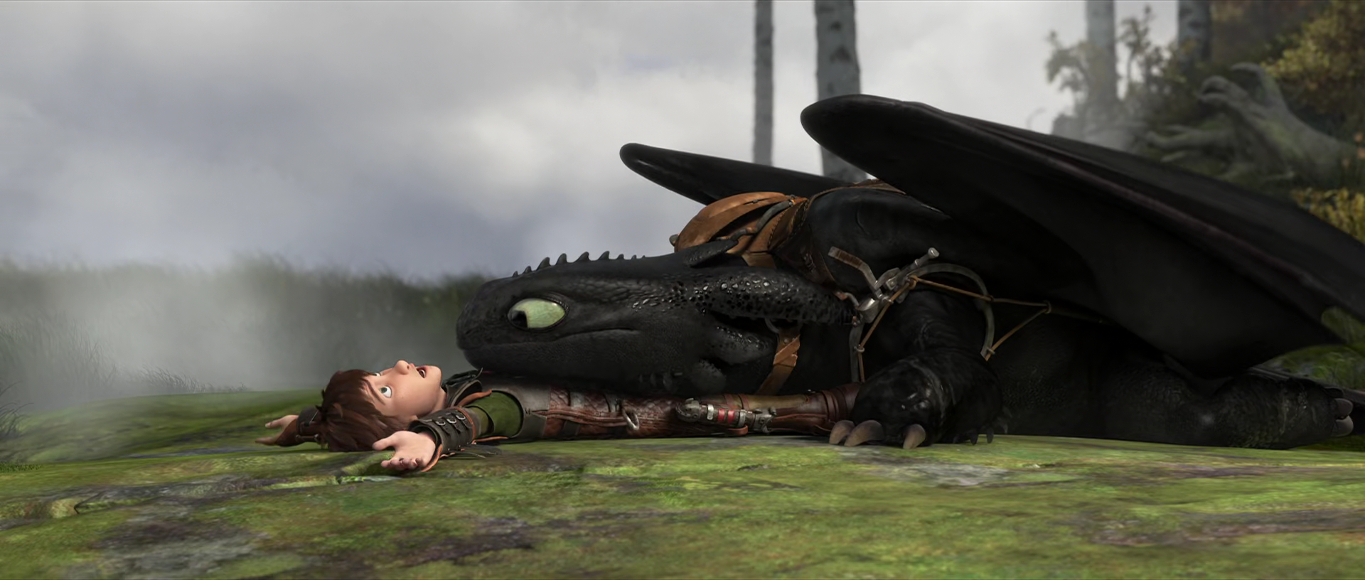 hiccup and toothless with baby dragon